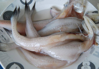 買龍頭魚怎么挑選？冰凍龍頭魚怎么去內(nèi)臟