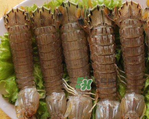 蝦蛄是皮皮蝦嗎？蝦蛄和皮皮蝦的區(qū)別