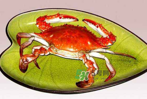 海螃蟹蒸多長時間？海螃蟹蒸多久？