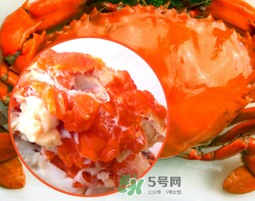 海螃蟹什么時候最肥？海螃蟹什么季節(jié)最好吃？