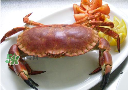 海螃蟹能冷凍保存嗎？海螃蟹放冰箱冷凍嗎？