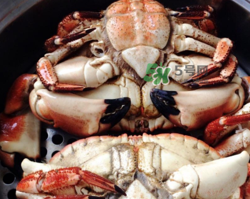 面包蟹可以直接蒸嗎？清蒸面包蟹怎么做？