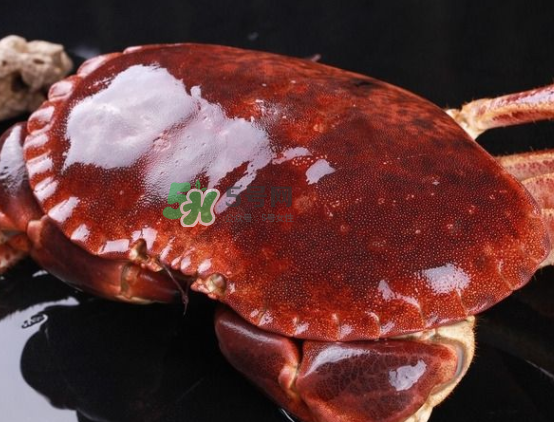 面包蟹不能和什么一起吃？吃面包蟹不能吃什么？