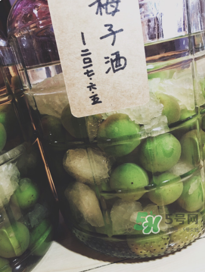 自制青梅酒的做法 青梅酒泡多久可以喝？