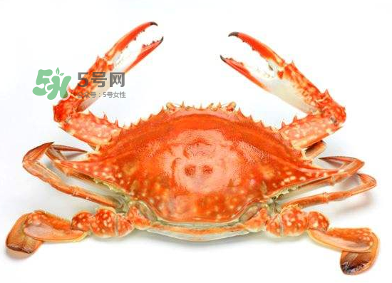 ?花蟹可以放冰箱嗎？花蟹怎么保存才新鮮？