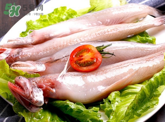 龍頭魚(yú)是海魚(yú)嗎？龍頭魚(yú)是海鮮嗎