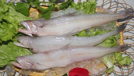 龍頭魚怎么做好吃？龍頭魚干怎么做好吃