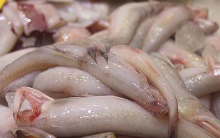 龍頭魚怎么做好吃？龍頭魚干怎么做好吃