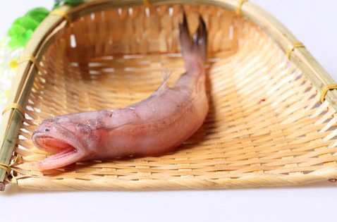 龍頭魚怎么做好吃？龍頭魚干怎么做好吃