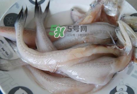龍頭魚怎么殺？龍頭魚怎么處理？