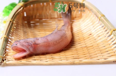 龍頭魚(yú)身是什么神獸？龍頭魚(yú)身是什么寓意