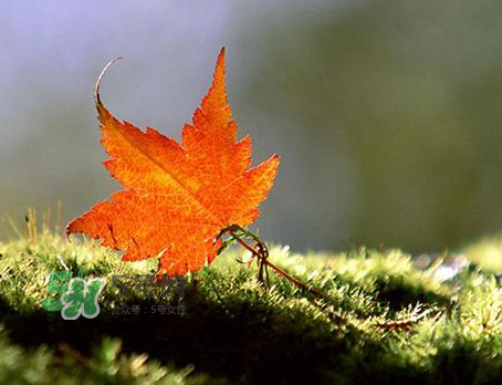 立秋后是不是早晚天氣涼？立秋后天氣有什么變化？