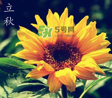 立秋后是不是早晚天氣涼？立秋后天氣有什么變化？