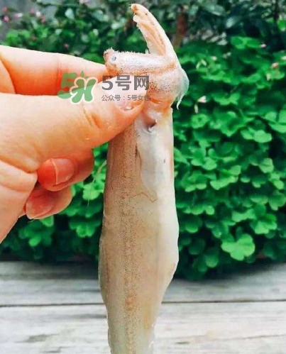 水潺怎么讀？水潺是海鮮嗎