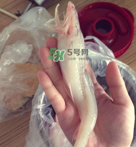 海鮮水潺孕婦可以吃嗎？水潺魚的營養(yǎng)價值