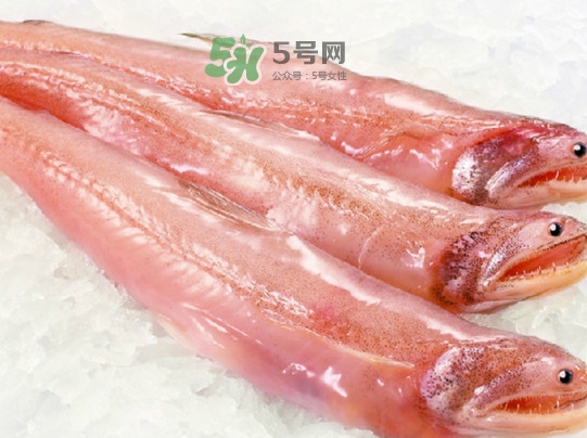 海鮮水潺孕婦可以吃嗎？水潺魚的營養(yǎng)價值