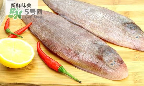 龍利魚怎么挑選？龍利魚與越南巴沙魚的區(qū)別