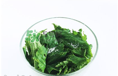 南瓜苗怎么做好吃？南瓜苗怎么撕？