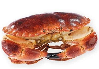 面包蟹和帝王蟹哪個好吃？面包蟹好吃還是帝王蟹好吃？