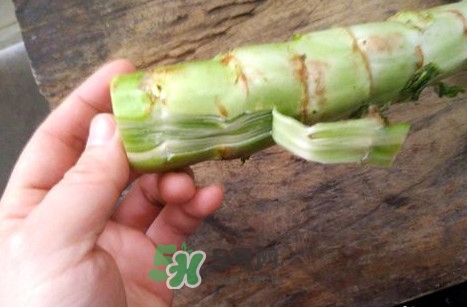 青筍怎么做好吃？青筍怎么去皮快