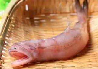 龍頭魚身是什么神獸？龍頭魚身是什么寓意