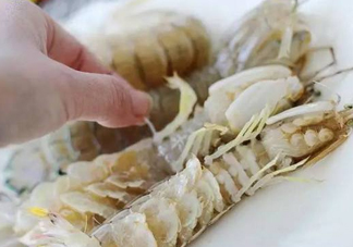 蝦蛄怎么讀？蝦蛄多少錢一斤