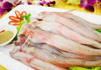 龍頭魚孕婦可以吃嗎？孕婦能吃龍頭魚嗎