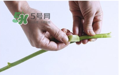 南瓜苗怎么做好吃？南瓜苗怎么撕？