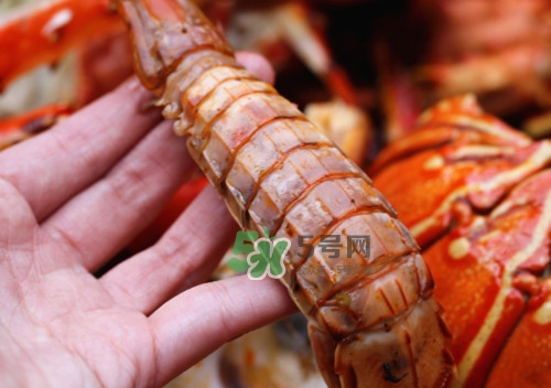 蝦蛄怎么吃？蝦蛄怎么做好吃？