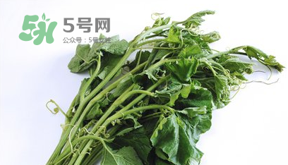 南瓜苗怎么做好吃？南瓜苗怎么撕？