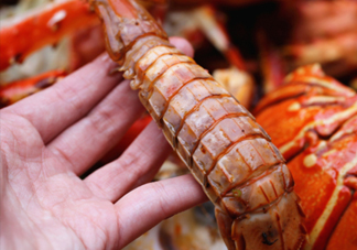 蝦蛄怎么吃？蝦蛄怎么做好吃？