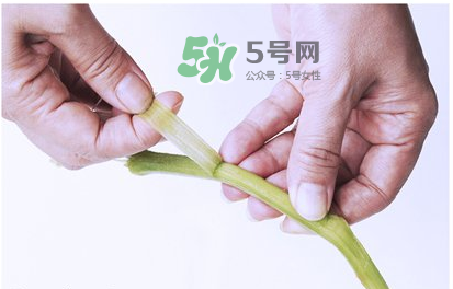 南瓜苗怎么做好吃？南瓜苗怎么撕？