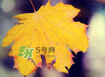 立秋后吃什么好？立秋后怎么養(yǎng)生？