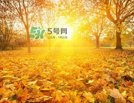 立秋后吃什么好？立秋后怎么養(yǎng)生？