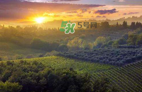 立秋后吃什么好？立秋后怎么養(yǎng)生？