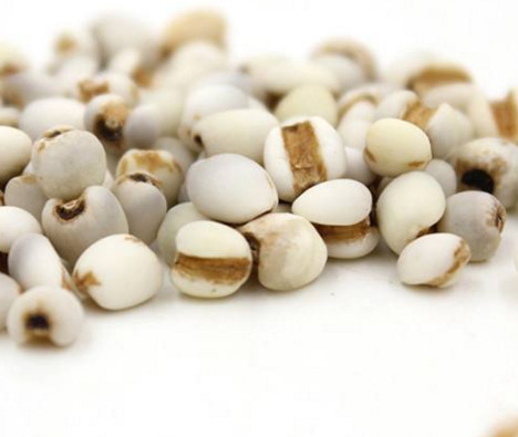 雞頭米是蓮子嗎？雞頭米是薏米嗎