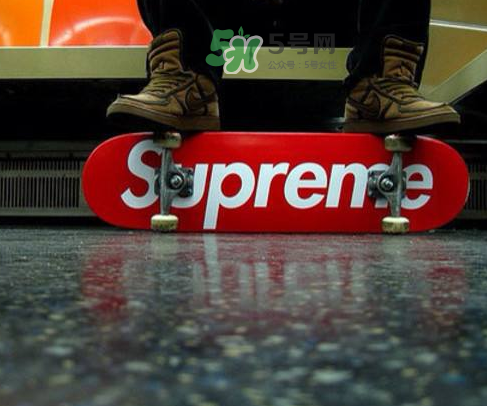 supreme狗骨頭玩具是真的嗎？supreme骨頭玩具會發(fā)售嗎？