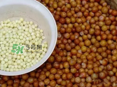 雞頭米一次吃多少合適？雞頭米可以多吃嗎