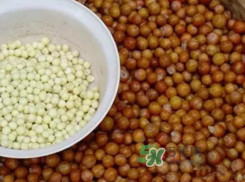 雞頭米什么時(shí)候上市？雞頭米什么時(shí)候最好吃