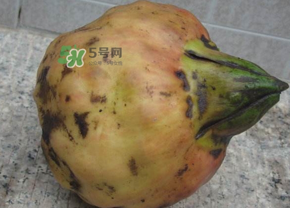 雞頭米是涼性的嗎？雞頭米是哪里的特產(chǎn)