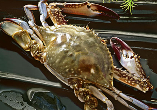 梭子蟹放冷藏還是冷凍？梭子蟹可以放速凍嗎？