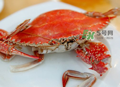 梭子蟹可以清蒸嗎？梭子蟹蒸還是煮？