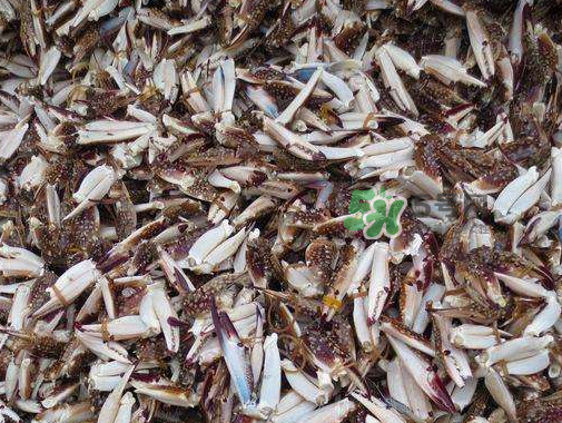 冷凍的梭子蟹能吃嗎？冷凍的梭子蟹怎么做？