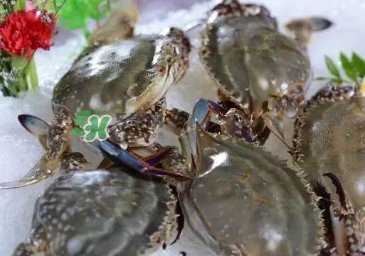 梭子蟹放冷藏還是冷凍？梭子蟹可以放速凍嗎？