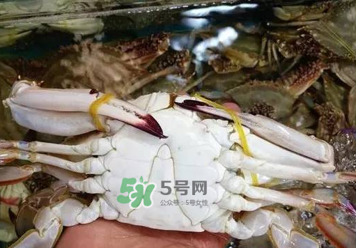 梭子蟹放冷藏還是冷凍？梭子蟹可以放速凍嗎？