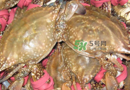 梭子蟹放冷藏還是冷凍？梭子蟹可以放速凍嗎？