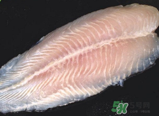 龍利魚有刺嗎？龍利魚有魚鱗嗎