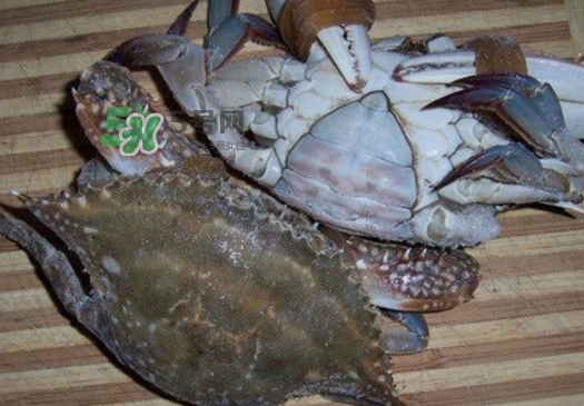 梭子蟹放冷藏能活多久？梭子蟹放冷凍保存多久？