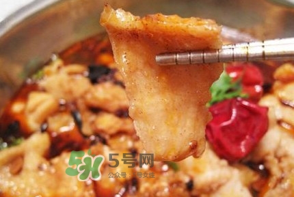 龍利魚有寄生蟲嗎？龍利魚有假的嗎