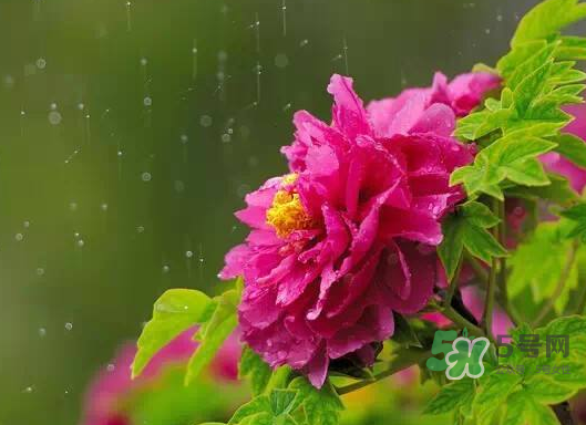 2017處暑會(huì)下雨嗎？處暑會(huì)下雨好嗎？